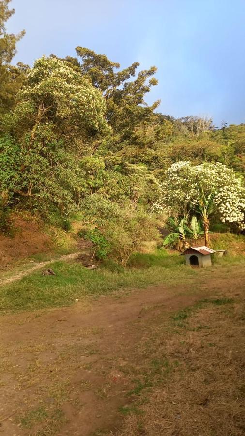 Отель Finca Pantera Монте-Верде Экстерьер фото